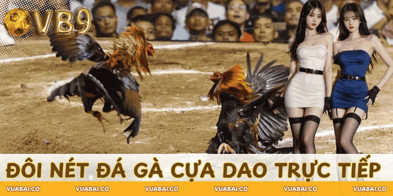 doi-net-da-ga-cua-dao-truc-tiep