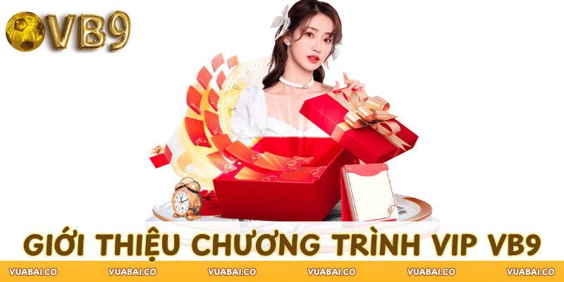 gioi-thieu-chuong-trinh-VIP-VB9