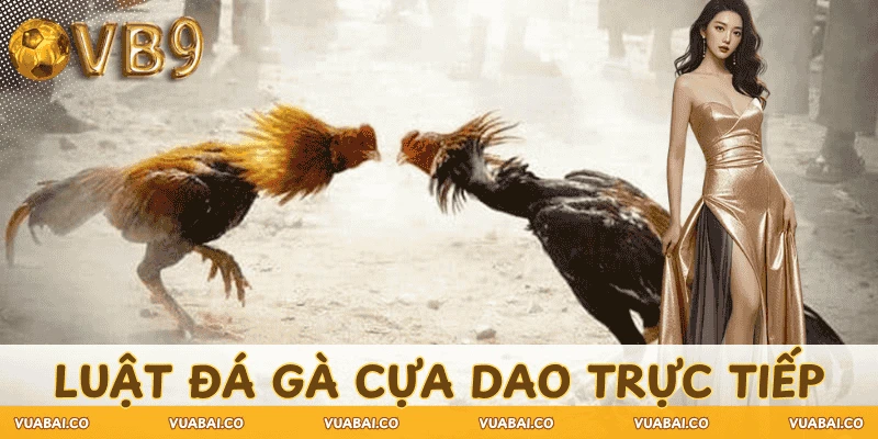 luat-da-ga-cua-dao-truc-tiep