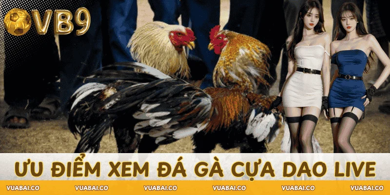 uu-diem-xem-da-ga-cua-dao-truc-tiep